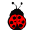 logo:ladybug